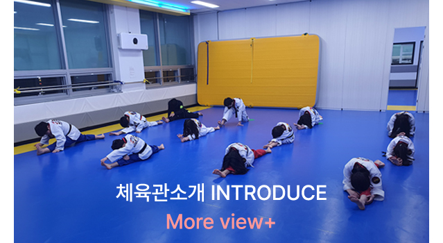 체육관소개